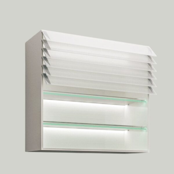 KR1001 Wisdom cabinet