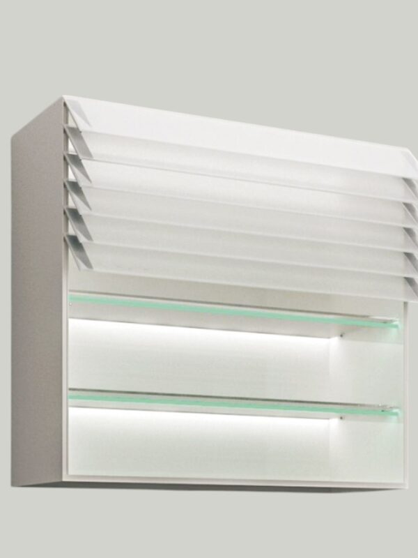 KR1001 Wisdom cabinet