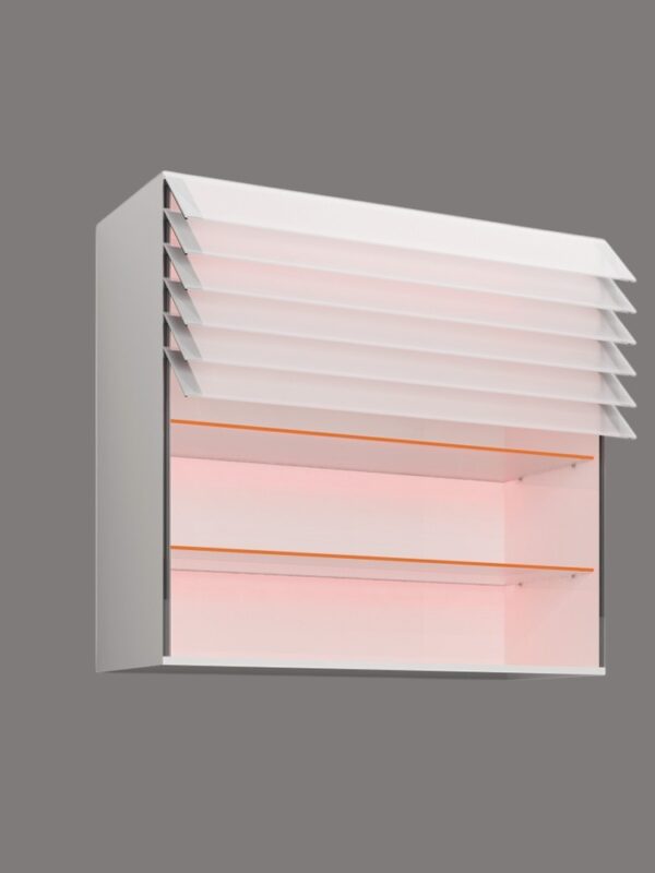 KR1003 Wisdom cabinet